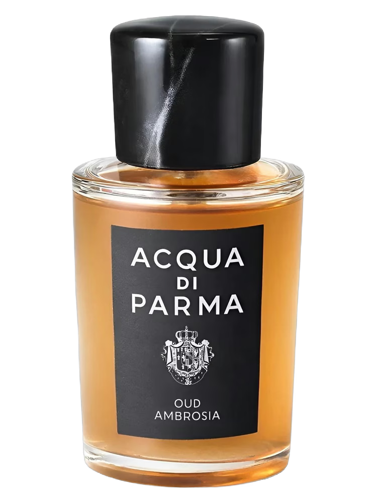 Acqua di Parma Oud Ambrosia Parfum 50ml bottle, close-up