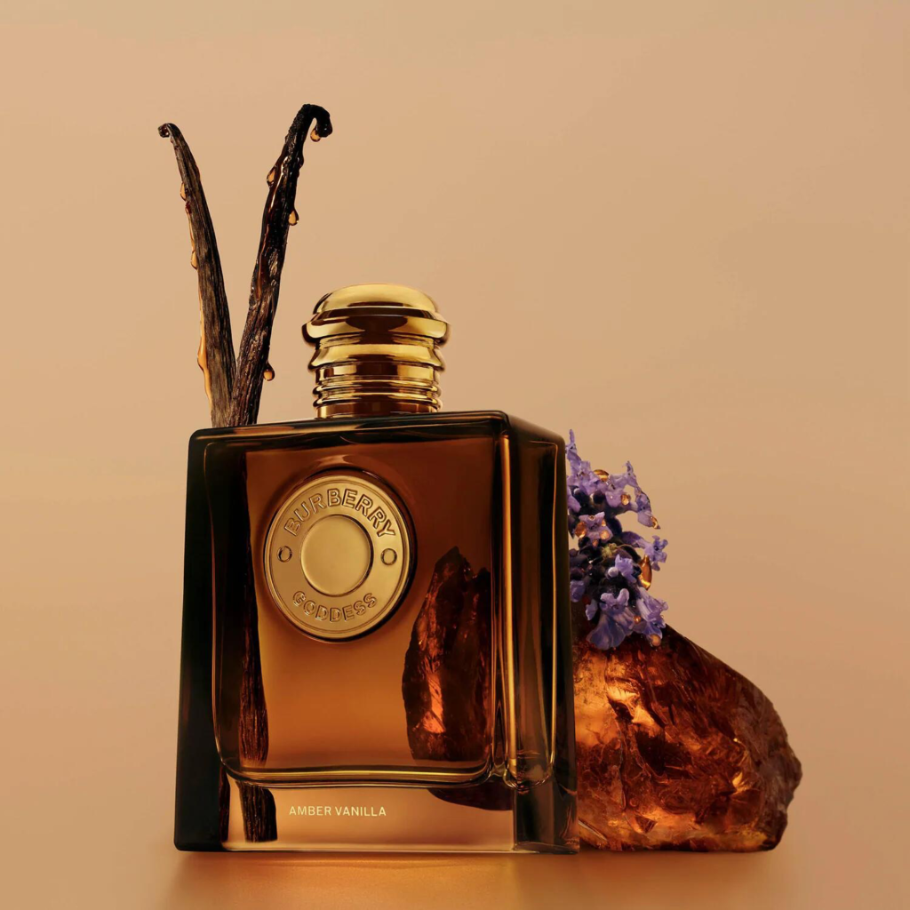 Burberry Goddess Amber Vanilla bottle with vanilla pods and lavender