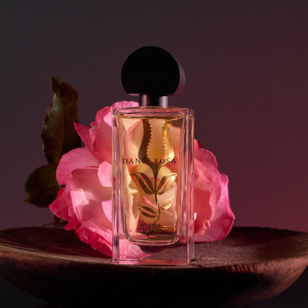 Dangerosa by Réserve en Afrique with a pink rose for the perfume review