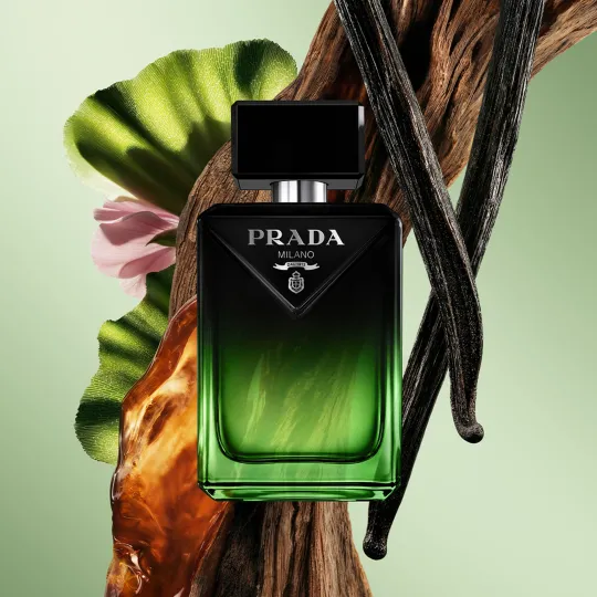 Paradigme Le Parfum bottle with vanilla pods, wood and amber resin
