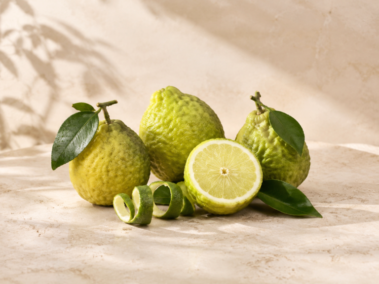 Fresh bergamot fruits and peel for a guide to bergamot in perfumery