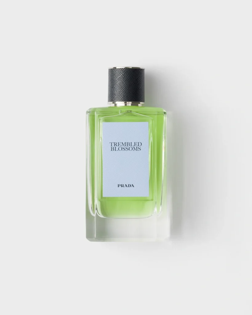 Prada Olfactories Trembled Blossoms perfume bottle featuring bright apple-green liquid, a pale blue label and textured black cap.